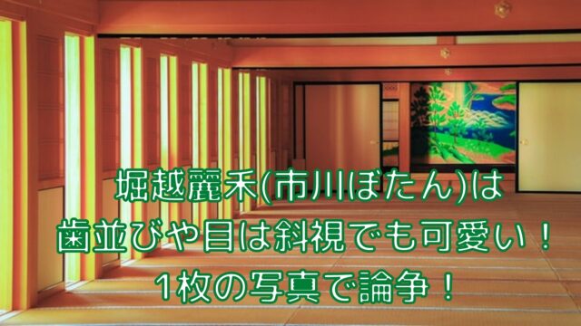 山口真由が話し方が聞き取りにくい 嫌いと言われる３つの理由を検証 Shioriのブログ