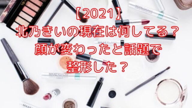 21 北乃きいの現在は何してる 顔が変わったと話題で整形 Shioriのブログ