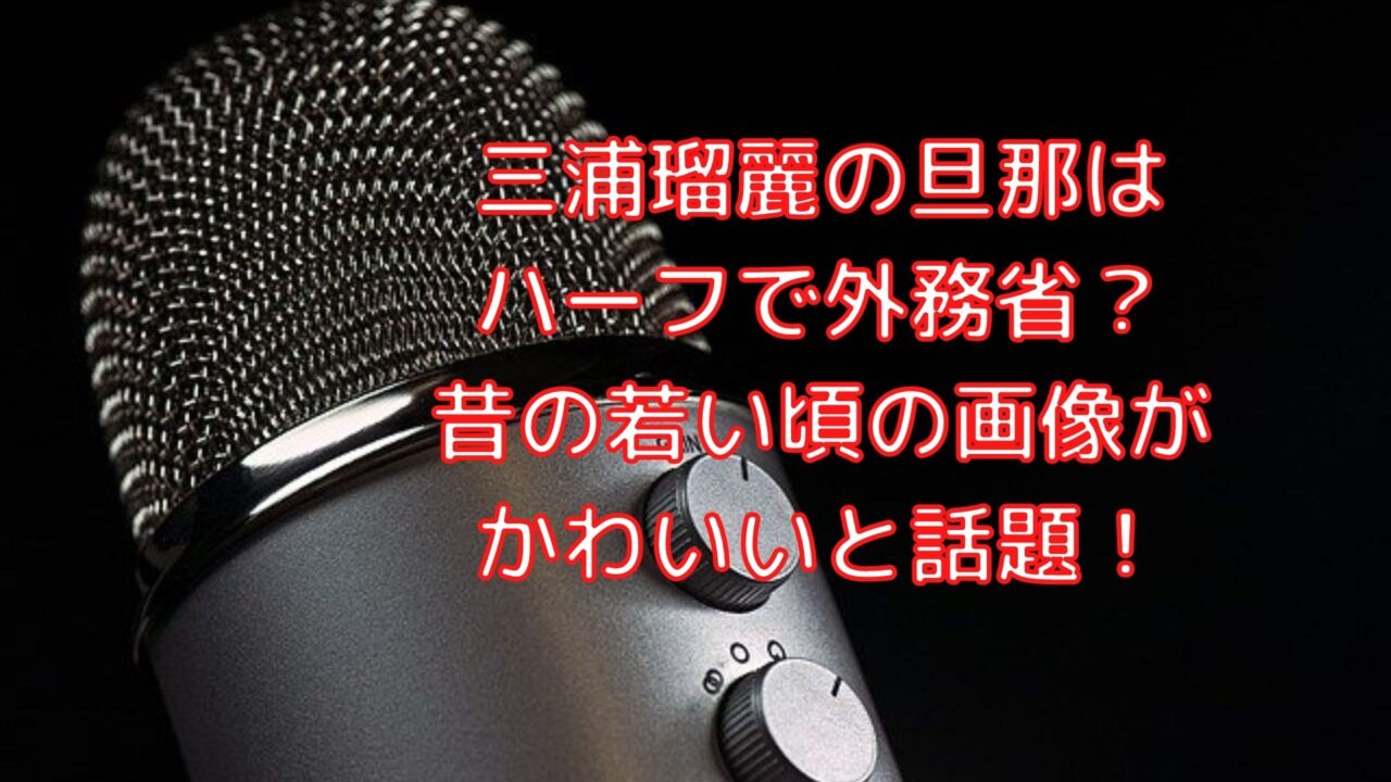 三浦瑠麗の旦那はハーフで外務省 昔の若い頃の画像がかわいいと話題 Shioriのブログ